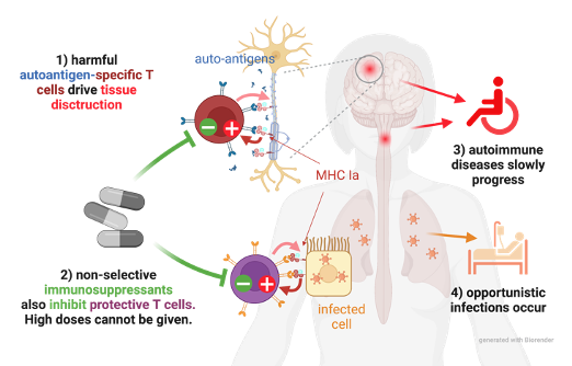 Key challenge autoimmunity