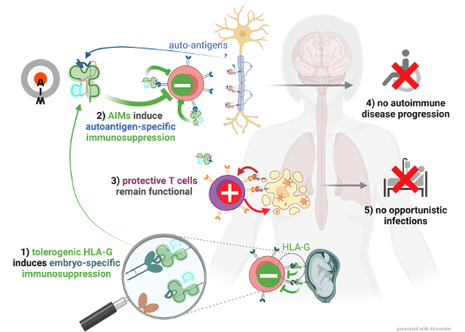 AIM Bio overview